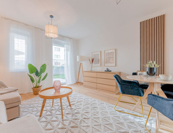 BandyAT_Arbeitergasse_Krems-15