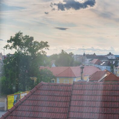 PAR06360
